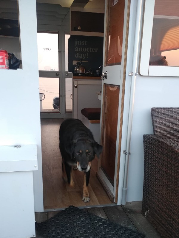 Otter Easy Houseboats hond is welkom